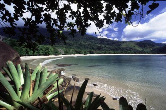 Recanto Tangara - Chale - Praia Do Felix อูบาตูบา ภายนอก รูปภาพ